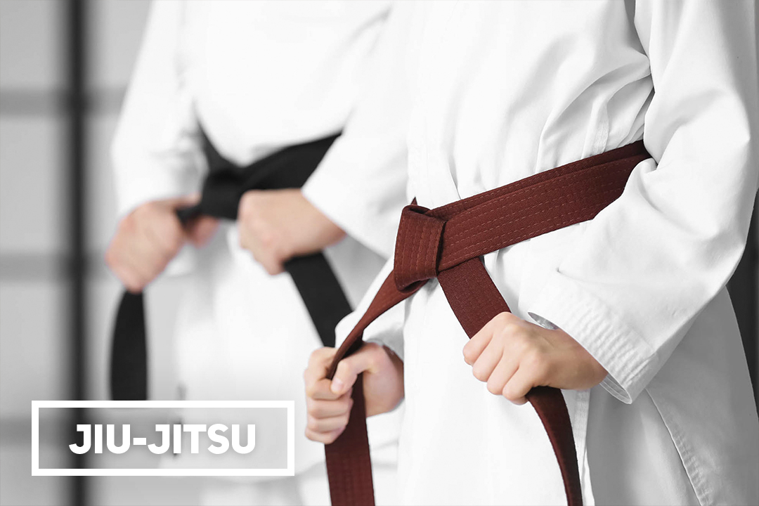 jiu-jitsu portugal