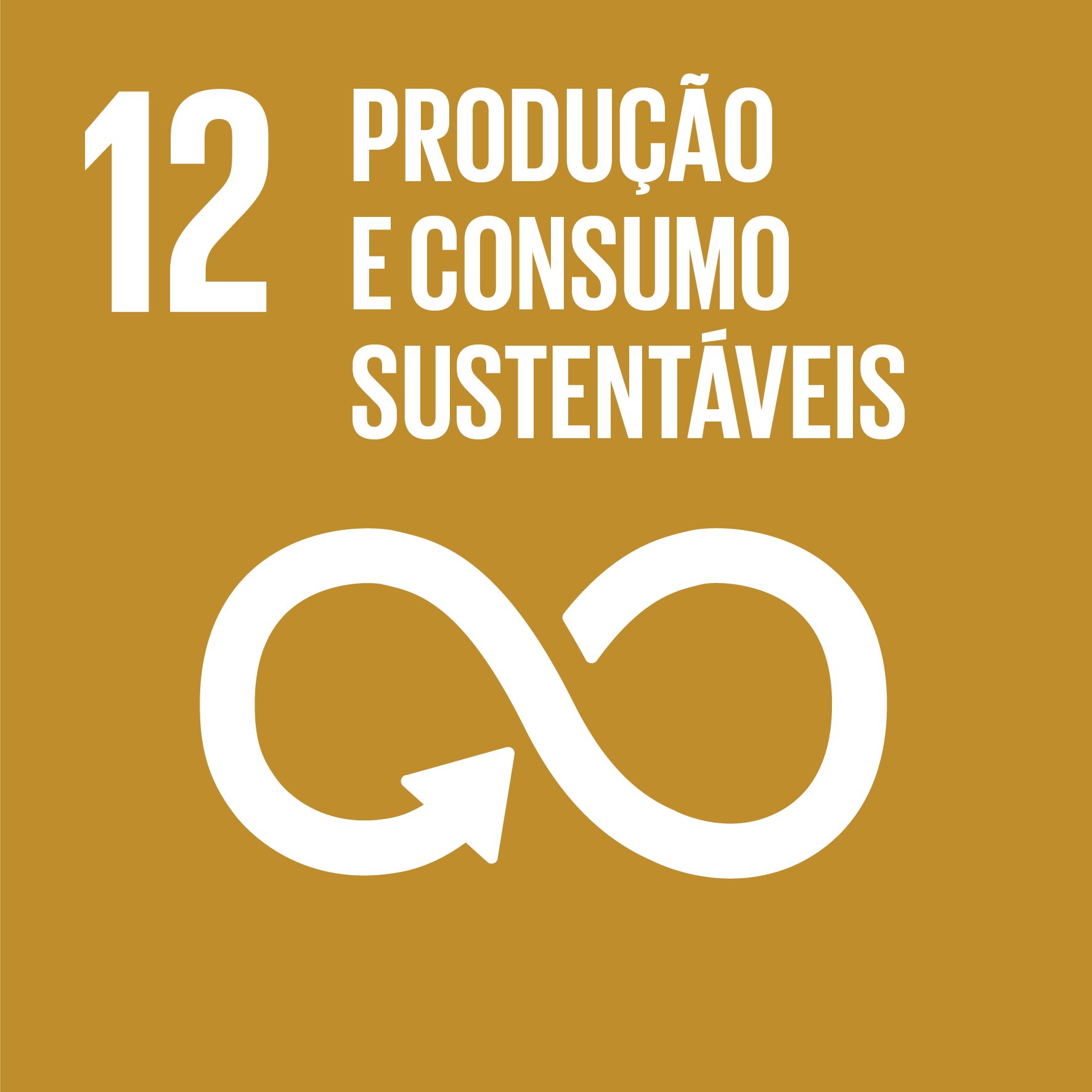 12 - Produção e Consumo Sustentáveis